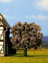 NOCH FLOWERING FRUIT TREE