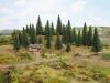 NOCH FIR TREES W/PLANTING PIN X 25