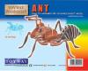 WOODEN ANT KIT