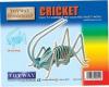 WOODEN CRICKET KIT