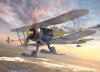 ICM 1/32 J-8 GLADIATOR WWII SWEDISH