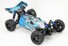 FTX VANTAGE 2.0 BRUSHED R/C BUGGY 1/10