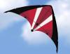 GUNTHER POWER MOVE 1.3M STUNT KITE