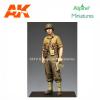 US TANK OFFICER SUMMER RESIN