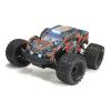 FTX RAMRAIDER 1/10 TRUCK BRUSHLESS