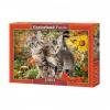 CASTORLAND KITTEN BUDDIES 1500 PCE