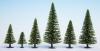 NOCH MODEL SPRUCE TREES