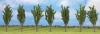 NOCH POPLAR TREES X 7  APP 12CM