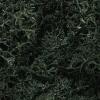 W/SCENICS LICHEN DARK GREEN